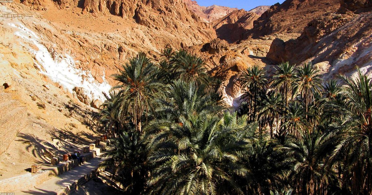 Les thèmes de la mémoire et du souvenir en littérature moderne