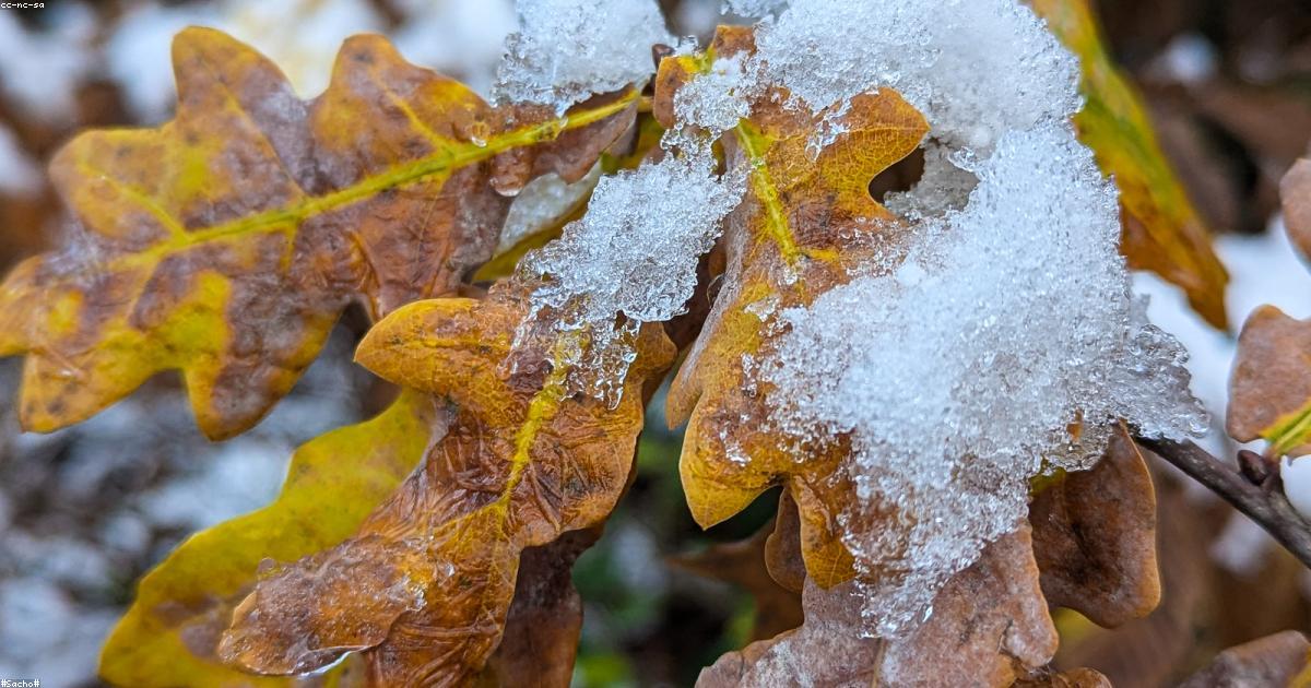 Les liens entre histoire personnelle et création littéraire