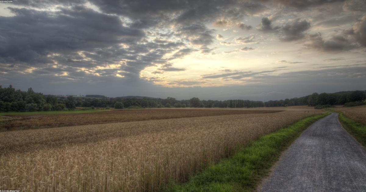 La narration fragmentée dans les romans contemporains