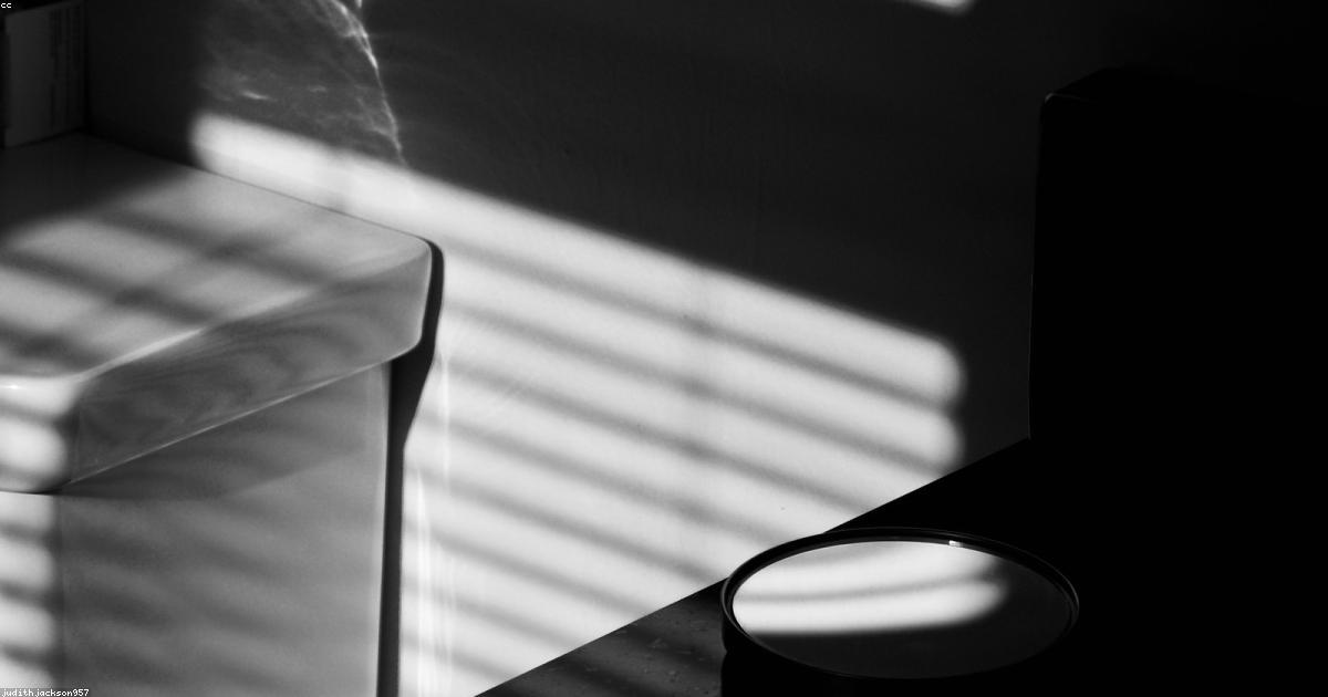 Le roman graphique comme nouvelle forme d’expression littéraire