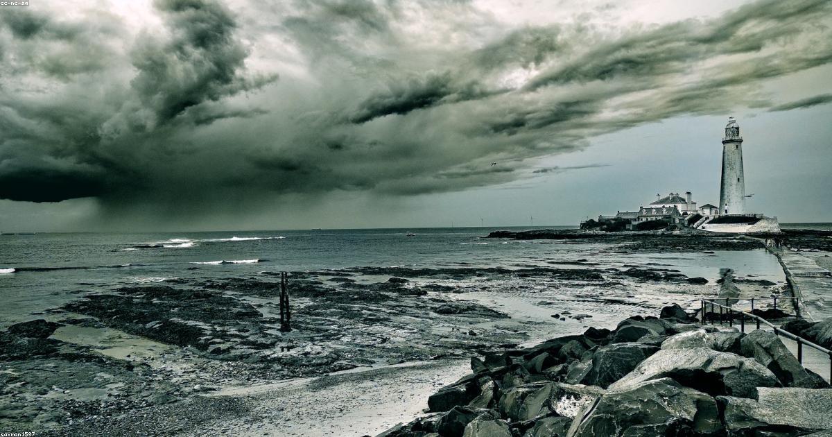 L’impact des réseaux sociaux sur la poésie