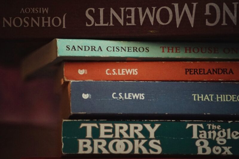 Récits d’identité et multiculturalisme en littérature moderne