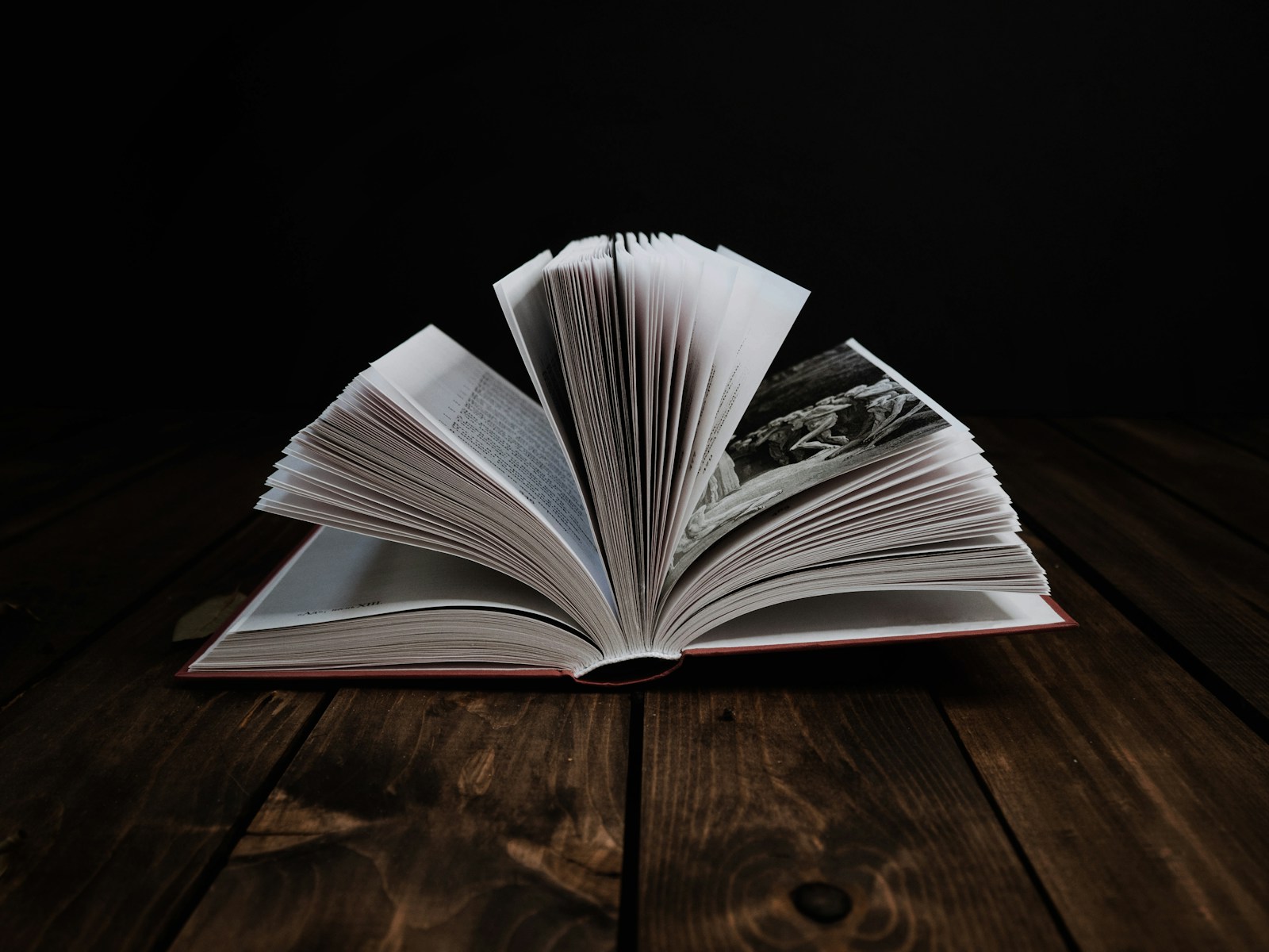 Stack of contemporary poetry collections on a wooden table, natural afternoon light