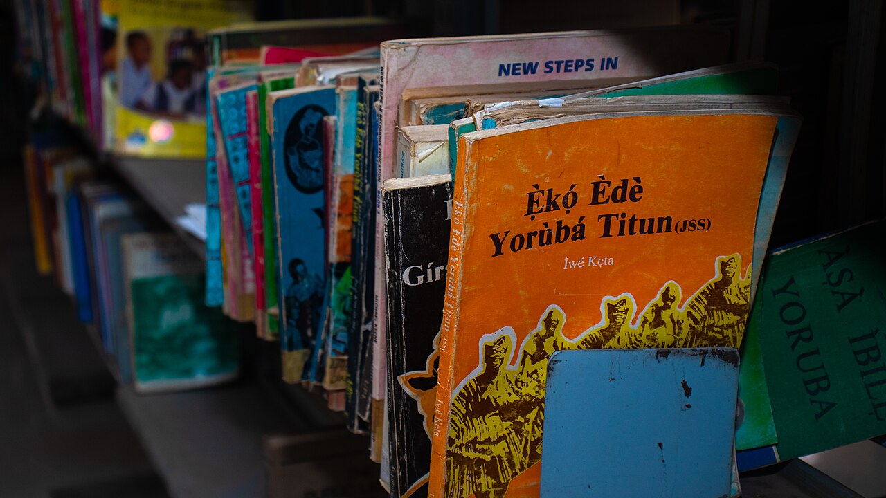 library books shelf (foto: Beebah20 / CC BY-SA 4.0, Wikimedia Commons)