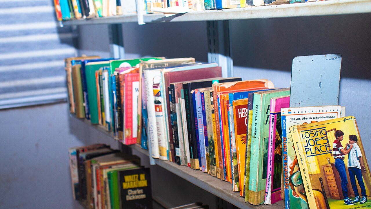 library books shelf (foto: Energyme / CC BY-SA 4.0, Wikimedia Commons)