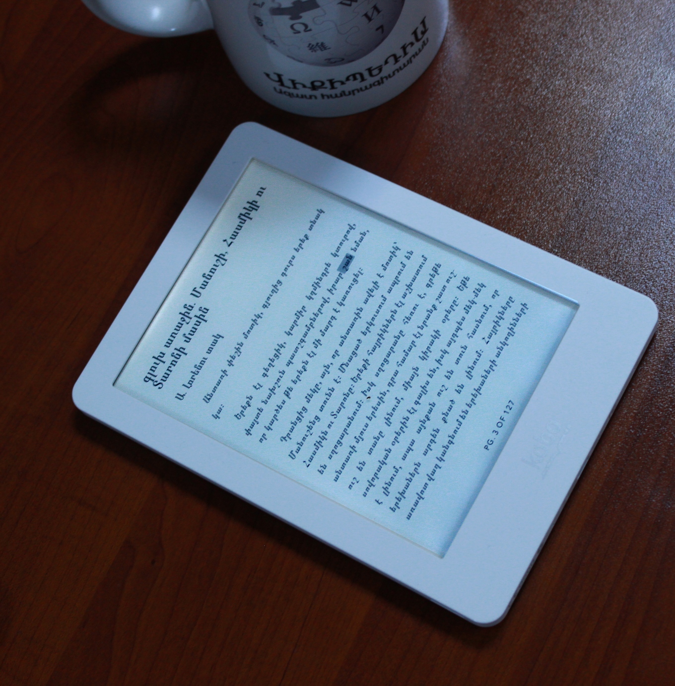 e-reader screen text