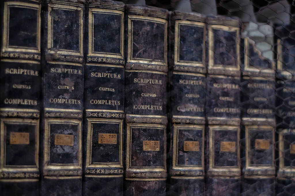 Rangée de livres reliés anciens sur une étagère en bois, dos usés et titres effacés