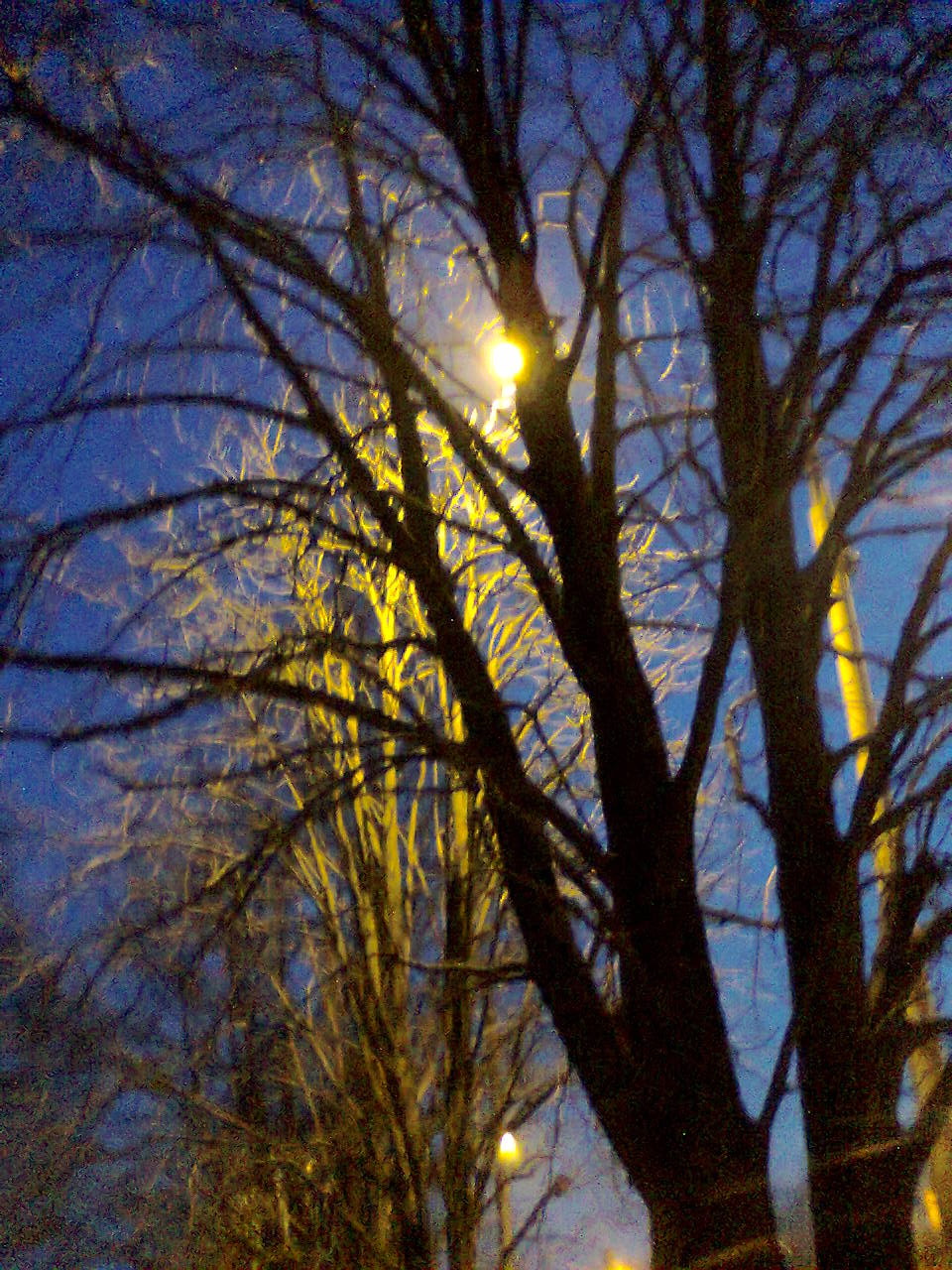 street lamp winter evening